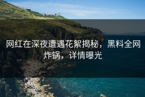 网红在深夜遭遇花絮揭秘，黑料全网炸锅，详情曝光