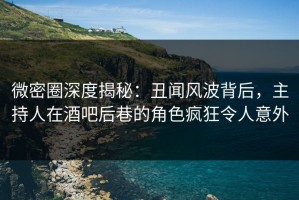 微密圈深度揭秘：丑闻风波背后，主持人在酒吧后巷的角色疯狂令人意外