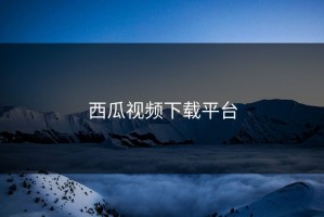 西瓜视频下载平台