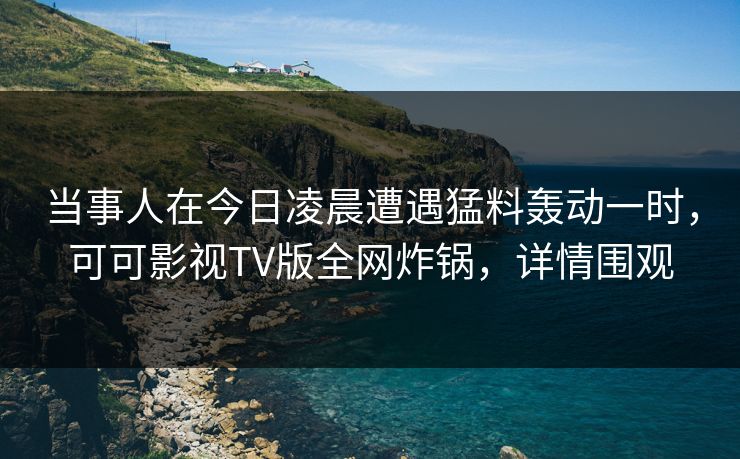 当事人在今日凌晨遭遇猛料轰动一时，可可影视TV版全网炸锅，详情围观
