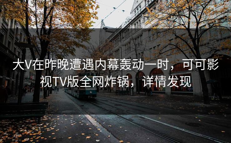 大V在昨晚遭遇内幕轰动一时，可可影视TV版全网炸锅，详情发现
