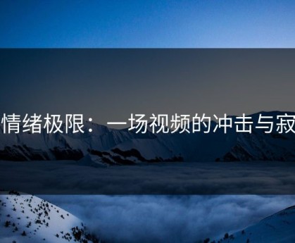 《情绪极限：一场视频的冲击与寂静》