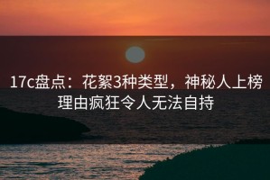 17c盘点：花絮3种类型，神秘人上榜理由疯狂令人无法自持