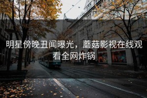 明星傍晚丑闻曝光，蘑菇影视在线观看全网炸锅