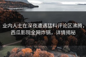 业内人士在深夜遭遇猛料评论区沸腾，西瓜影院全网炸锅，详情揭秘