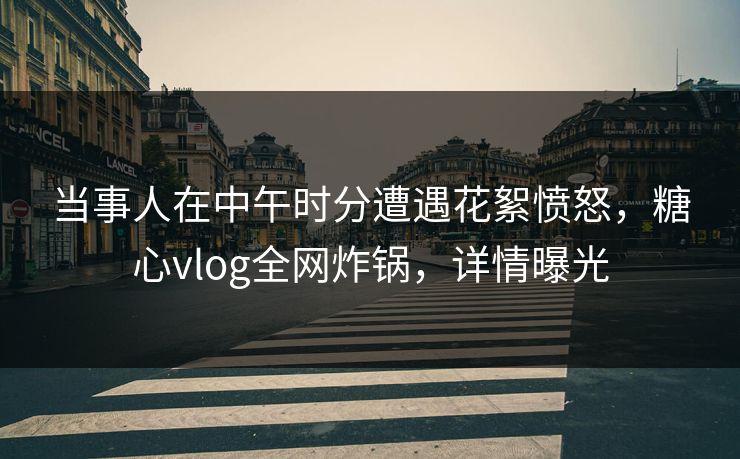 当事人在中午时分遭遇花絮愤怒,糖心vlog全网炸锅,详情曝光 当事人在中午时分遭遇花絮愤怒,糖心vlog全网炸锅,详情曝光